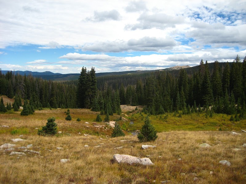 Zimmerman Trail (#940)