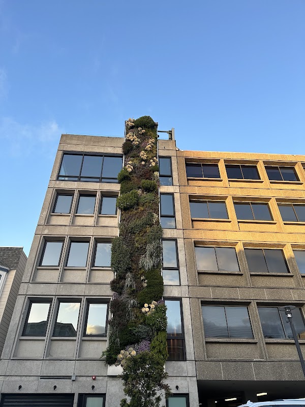 Vertical Garden Wall