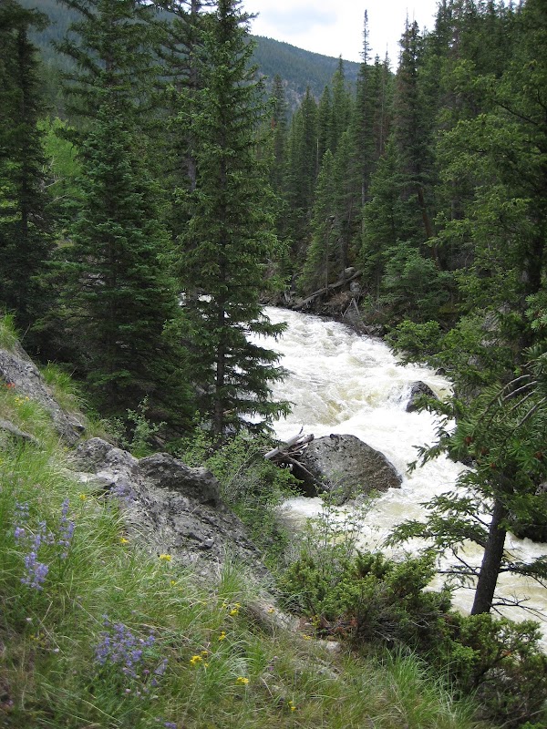 Big South Trail (#944)