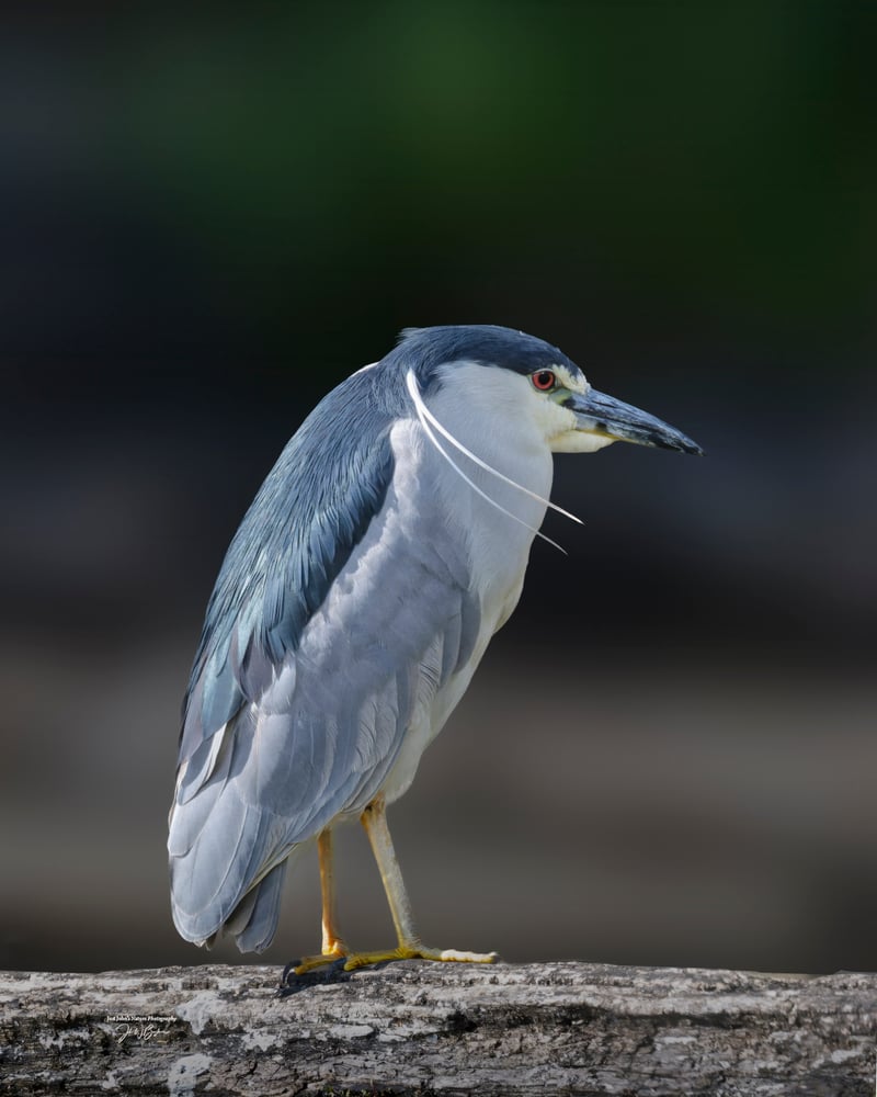 Eagle Creek Ornithology Center