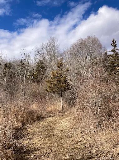 Cedar Ridge Preserve
