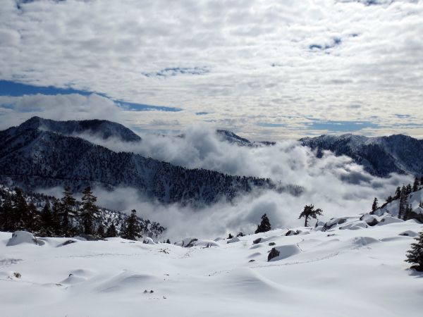 Cucamonga Wilderness