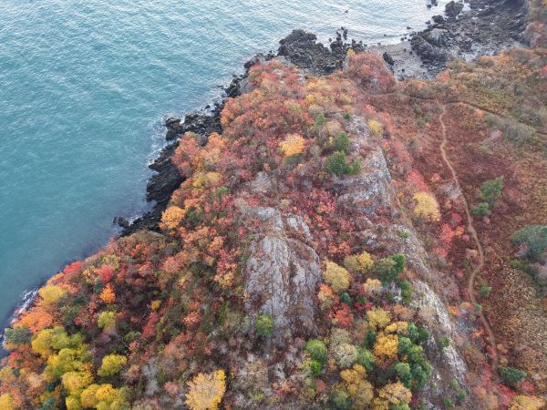 Bog Brook Unique Area