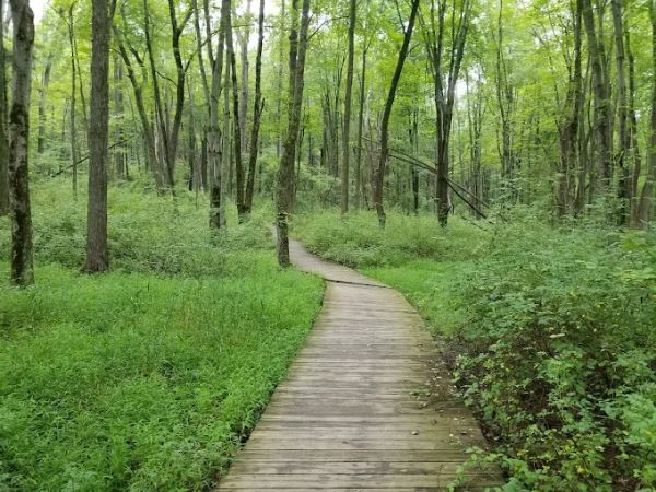 Sourland Mnt Reserve