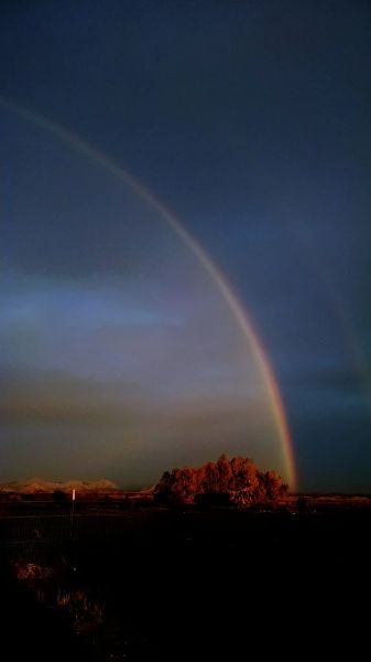 Jumping cactus ranch