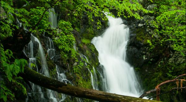Mianus River Gorge Preserve