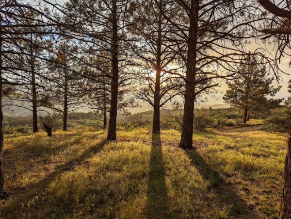 Big Pines Scenic Route