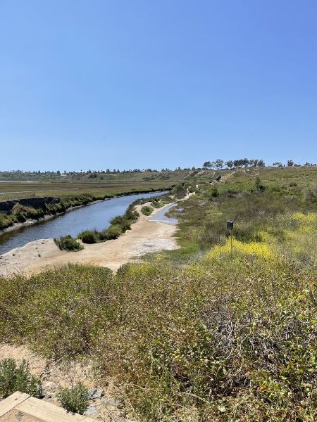 Upper Newport Bay Nature Preserve