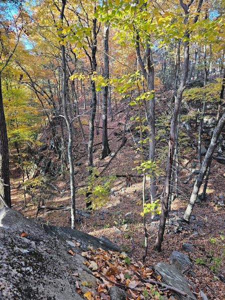 The Eugene and Agnes Meyer Nature Preserve