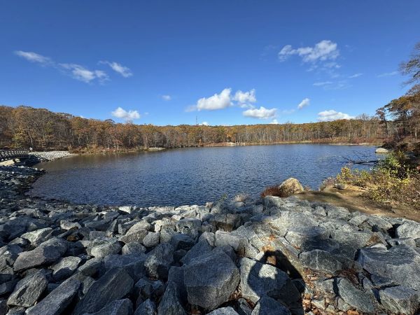 Sasso Tract / Beaver Brook