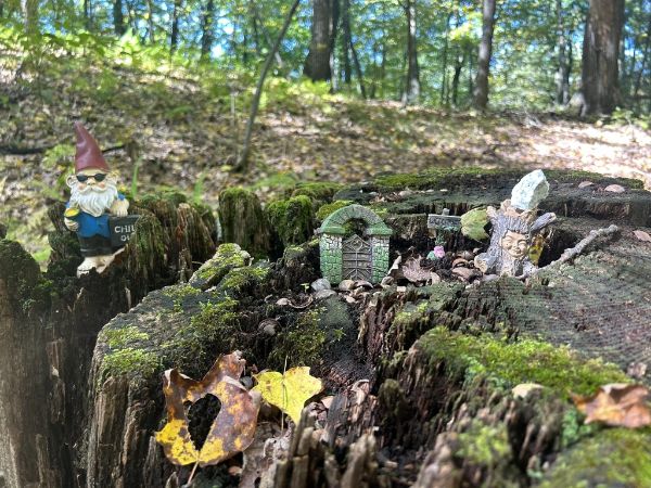 Gnome Hollow Nature Preserve