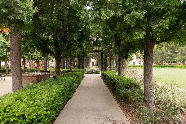 Magnolia Square Park