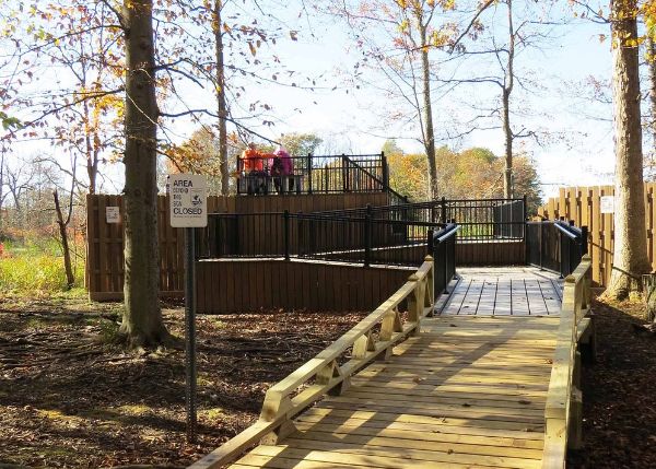 Wildlife Observation Platform