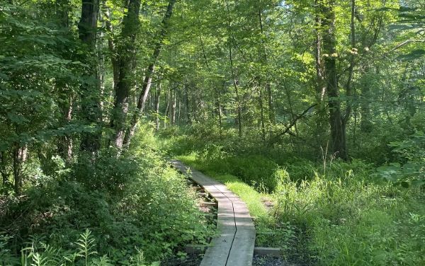 Dealaman Nature Trail and Pond