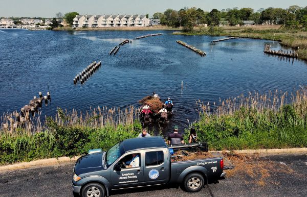 Slade Dale Sanctuary