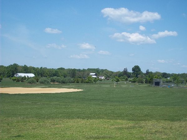 Cross Farm Park