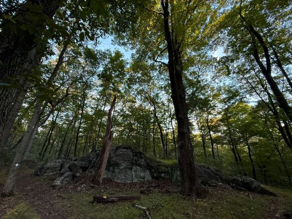 Hardscrabble Wilderness Area