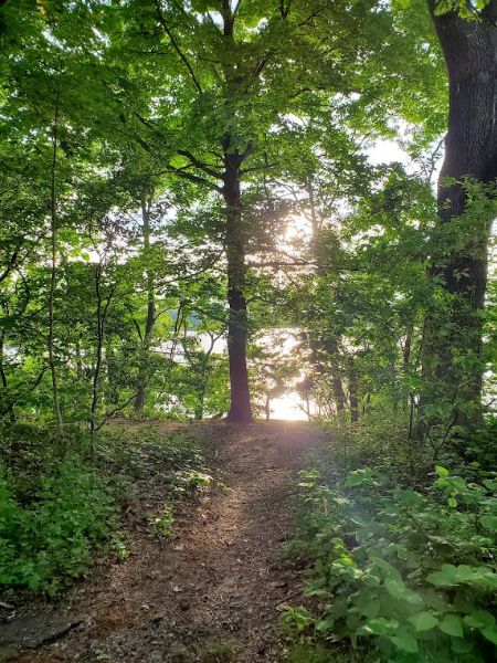 Raynor Beach County Park