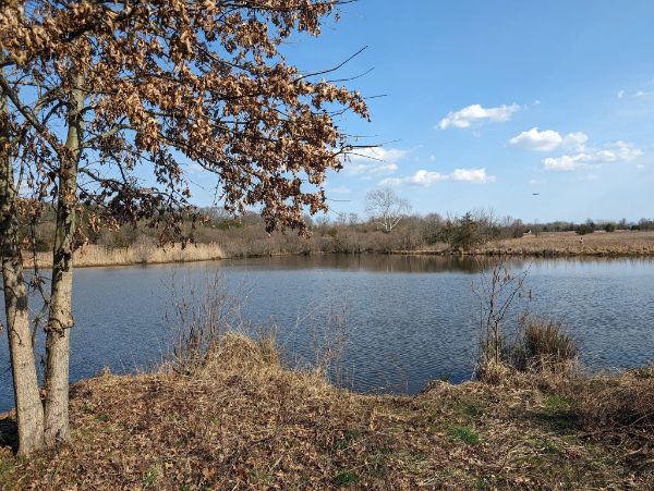 Wetlands of Crosswicks