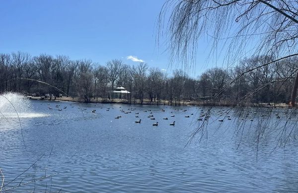 Glen Rock Duck Pond