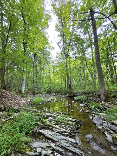 Prydes Point Trailhead