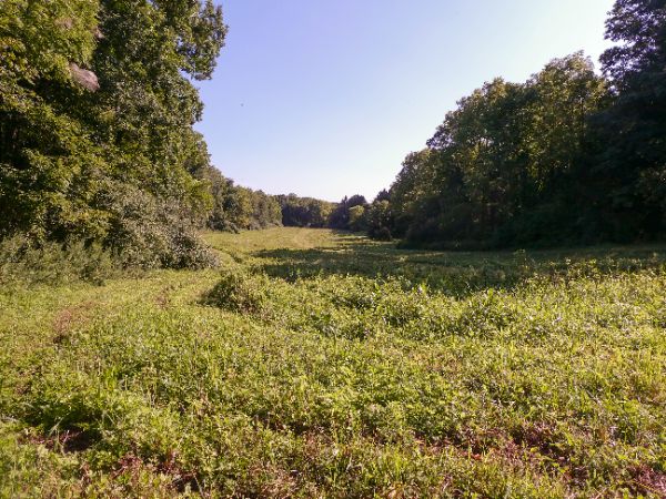Whittingham Wildlife Management Area