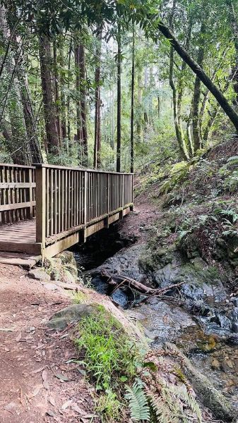 Cascade Park