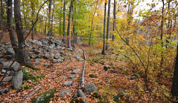 Zofnass Family Preserve