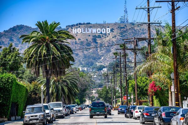 Hollywood sign view with palms