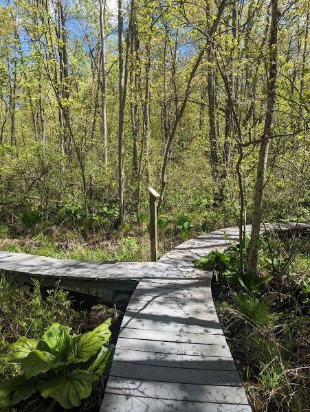 Pruyn Audubon Sanctuary