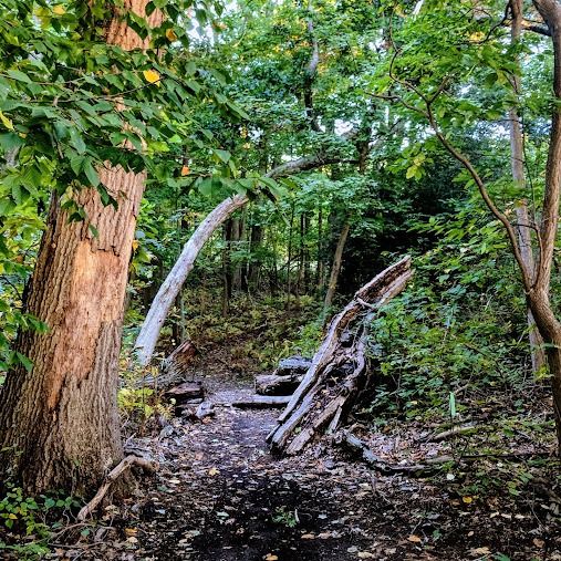 Veteran's Nature Study Area