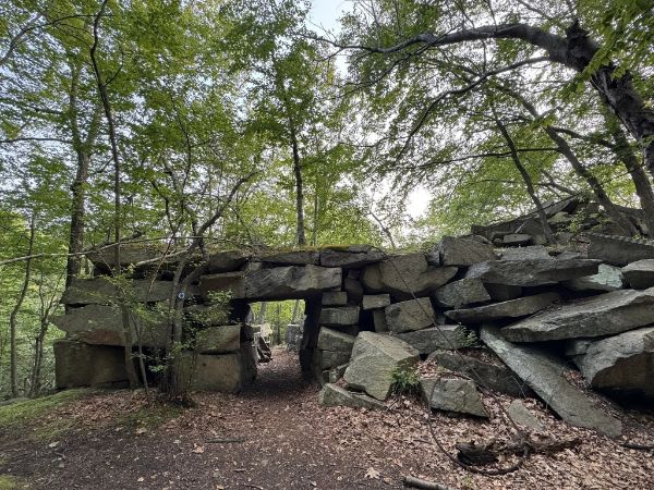 Sylvan Glen Park Preserve