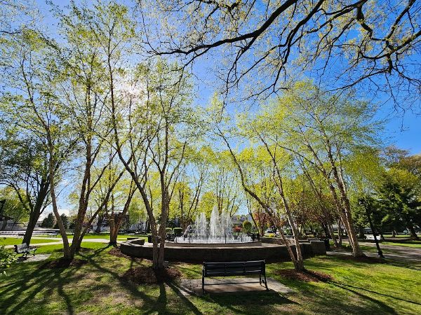 Lyndhurst Municipal Park