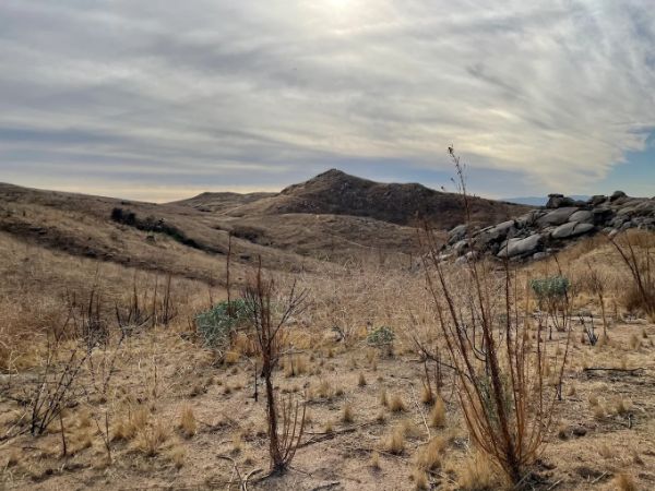 Sycamore Canyon Wilderness Park