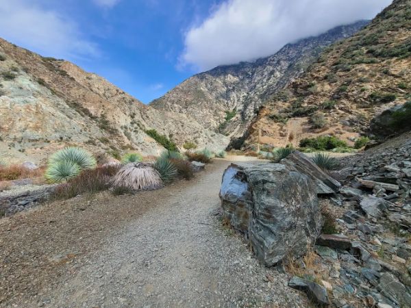 East Fork Day Use Parking Trailhead