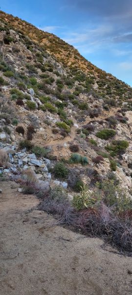 Upper Fall Creek Trail