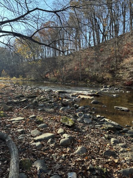Point Mountain Reservation