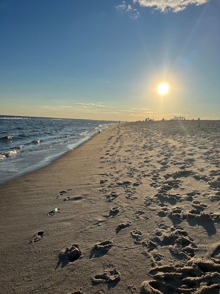 Robert Moses State Park / Field 4