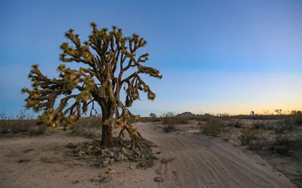 Little Lake Los Angeles