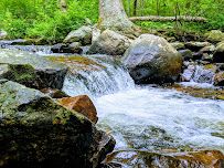 India Brook Natural Area