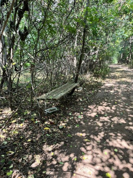 Bunker Hill Natural Area