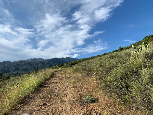 BellviewTrail to Flag Summit