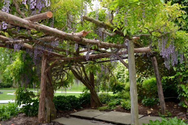 Willowwood Arboretum