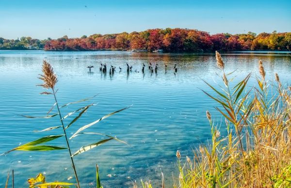 Edith Read Wildlife Sanctuary