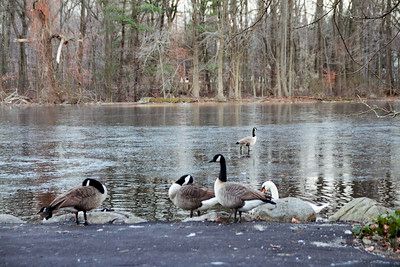 J. A. McFaul Environmental Center