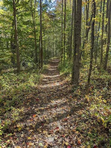 Ireland Brook Conservation Area