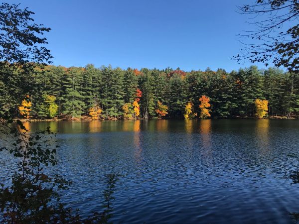Port Jervis Watershed Park and Recreation Area