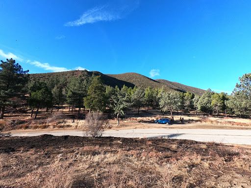 Green valley Tree Plantation