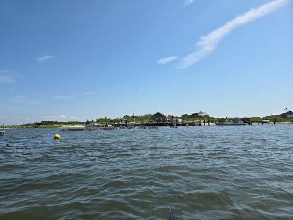 Blue Island Oyster Farm Tours