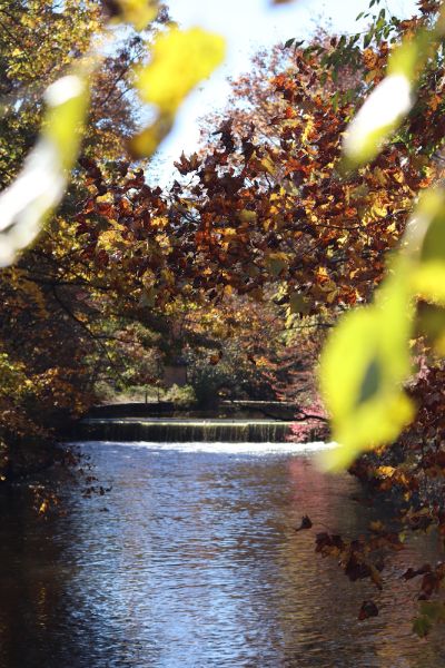 Van Buskirk Island County Park
